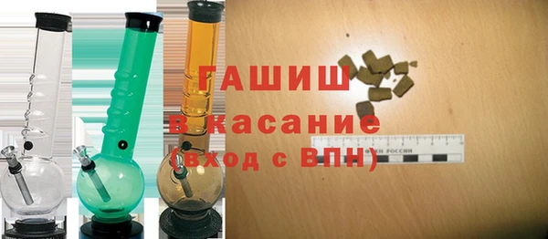 прущие грибы Абаза