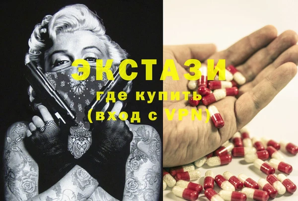 ECSTASY Покачи