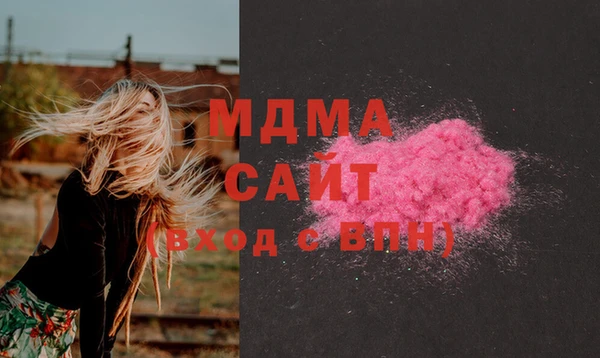 прущие грибы Абаза