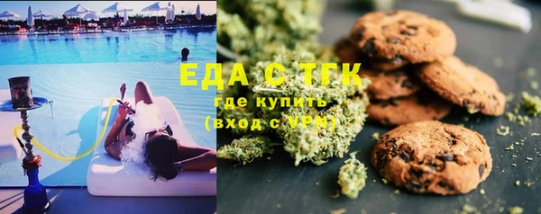хмурый Алзамай