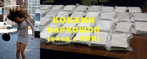 хмурый Алзамай