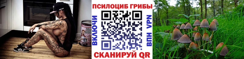 гидра рабочий сайт  Бобров  Псилоцибиновые грибы Cubensis  наркота 